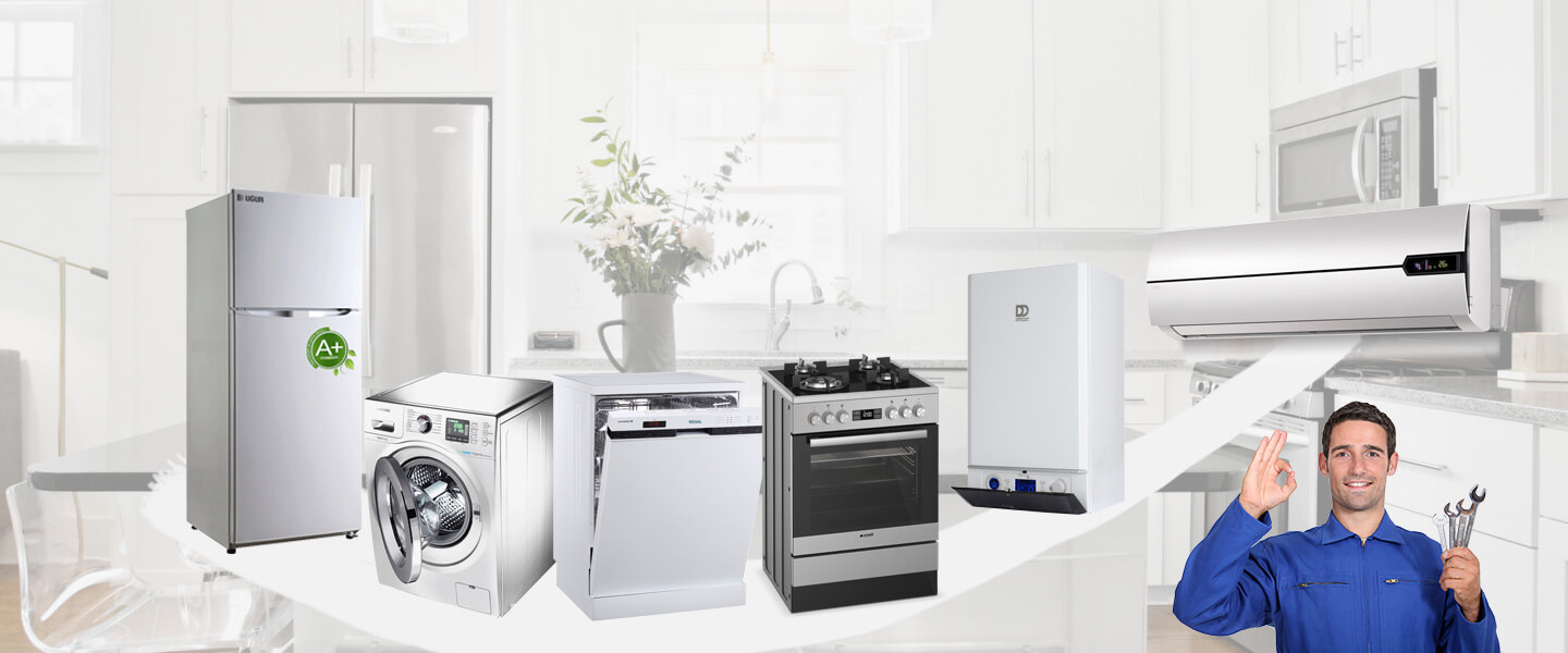 Ezine Grundig Servisi